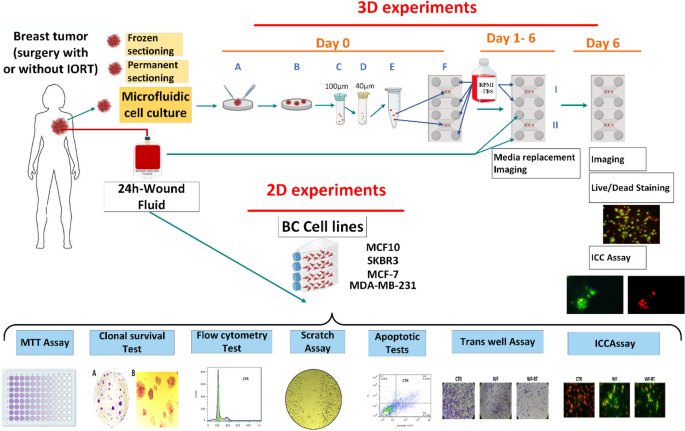 Radiobiological effects of wound fluid on breast cancer cell lines and human-derived tumor spheroids in 2d and microfluidic culture