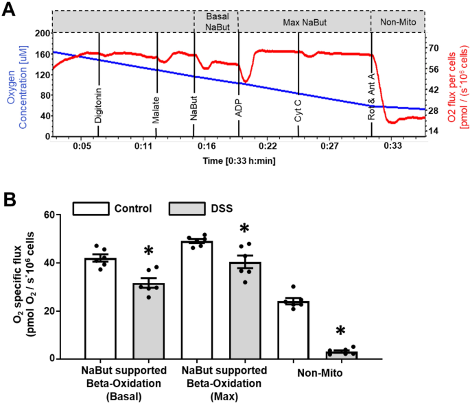 Fatty acid oxidation pathway control state - Bioblast