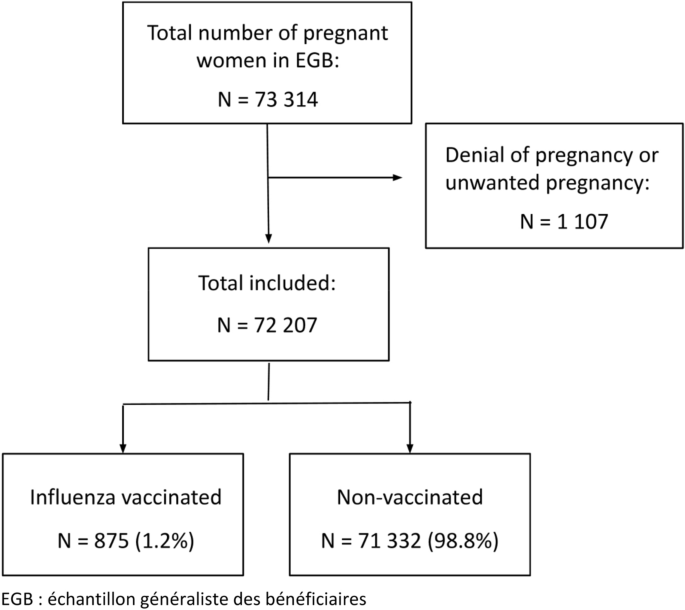 Trends of influenza vaccination coverage in pregnant women: a ten-year  analysis from a French healthcare database