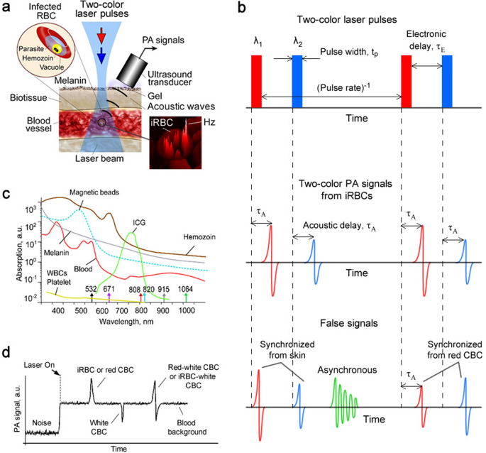 Towards rainbow portable Cytophone with laser diodes for global 