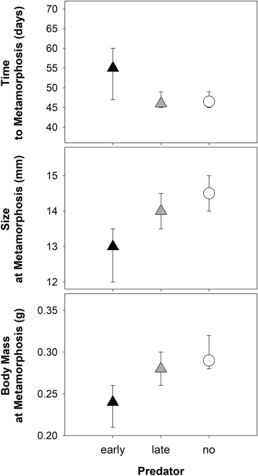 Different time patterns of the presence of red-eared slider influence the ontogeny dynamics of common frog tadpoles | Scientific Reports - Nature.com