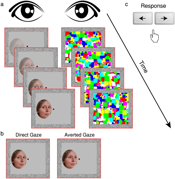 Example images of different gaze and head pose conditions. Note that