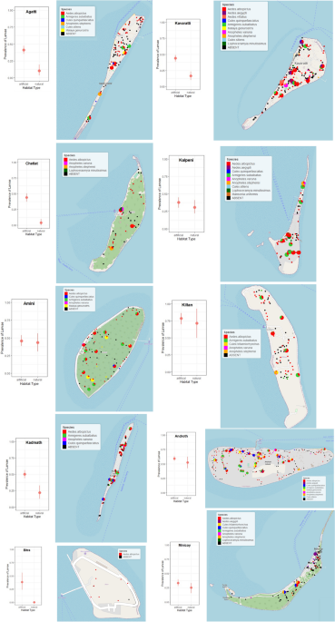 Scale‐dependent effects of marine subsidies on the island biogeographic  patterns of plants - Obrist - 2022 - Ecology and Evolution - Wiley Online  Library