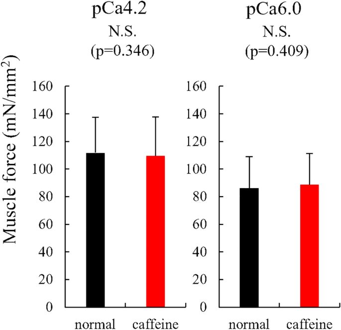 Influence of caffeine on the maximal isometric and concentric force  produced by skinned fibers