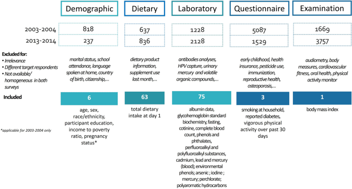 Target BMI For Every Age