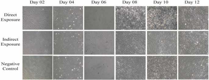 Magnetic exposure using Samarium Cobalt SmCO5 increased  