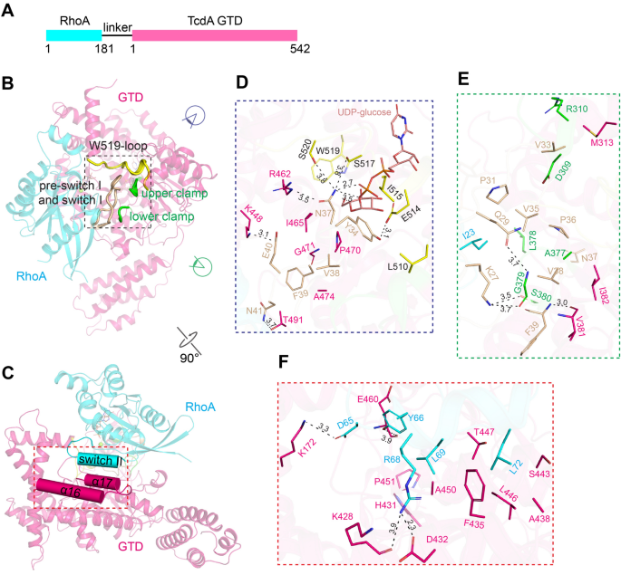 rongsheng jin lab quotation