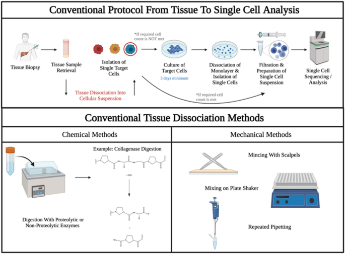 Enzyme-free Cell Dissociation Solution