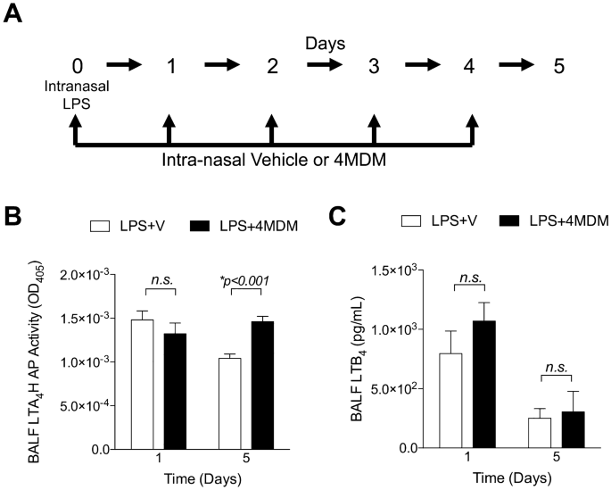 Substrate Dependent Modulation Of The Leukotriene Hydrolase Aminopeptidase Activity And Effect In A Murine Model Of Acute Lung Inflammation Scientific Reports