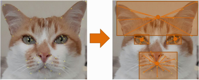 translated cats on X: Look at your face  / X