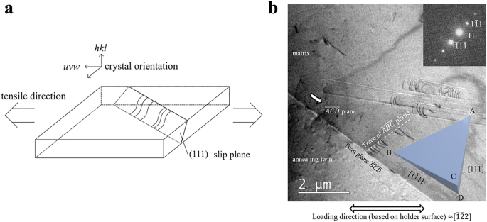 Nanoscale Defect Evaluation Framework Combining Real Time Transmission Electron Microscopy And Integrated Machine Learning Particle Filter Estimation Scientific Reports