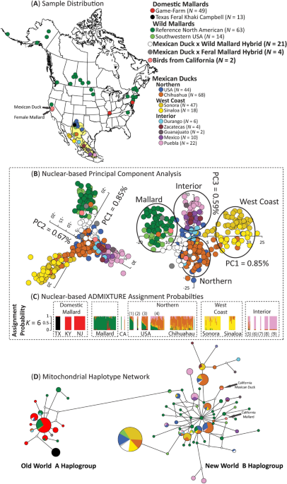 Huge international study sheds light on the prevalence and outcome