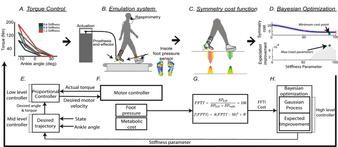 Foot contact forces can be used to personalize a wearable robot during  human walking | Scientific Reports