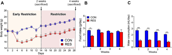 Renal transcriptome profiles in mice reveal the need for sufficient ... - Nature.com
