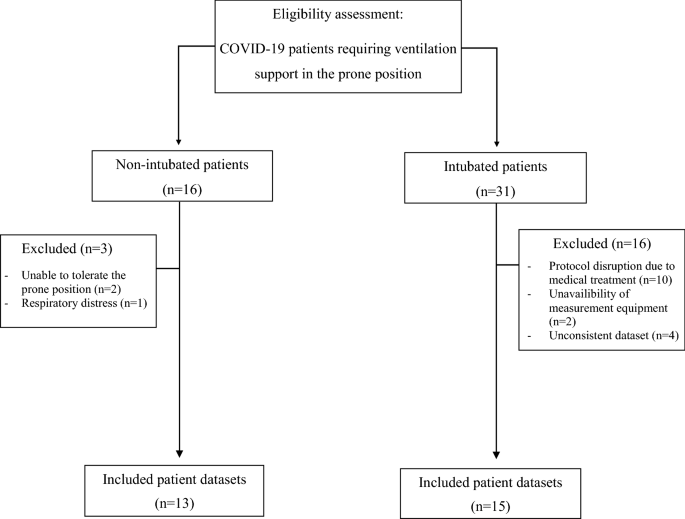 Effect of body position on the redistribution of regional lung aeration  during invasive and non-invasive ventilation of COVID-19 patients |  Scientific Reports