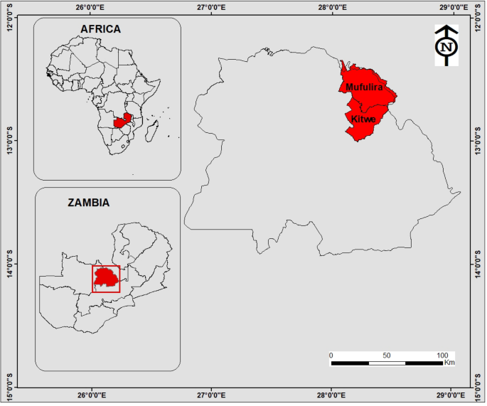 Evaluation of heavy metal contamination in copper mine tailing soils of  Kitwe and Mufulira, Zambia, for reclamation prospects | Scientific Reports