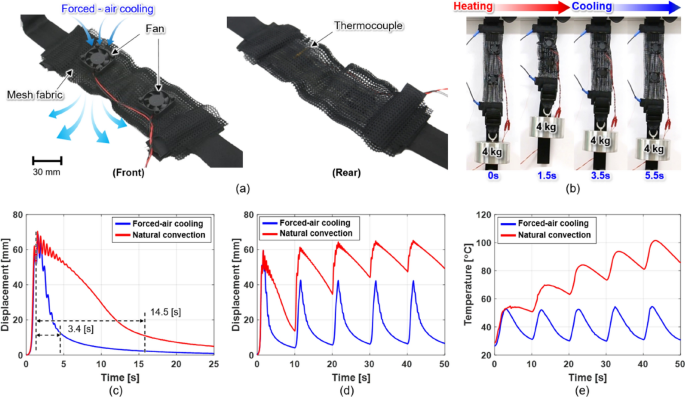 Development of a comfort suit-type soft-wearable robot with flexible  artificial muscles for walking assistance