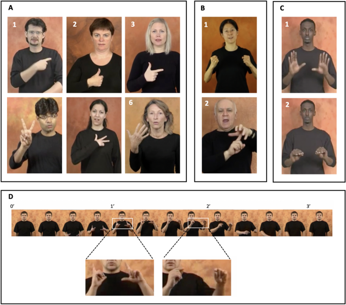 How the hand has shaped sign languages
