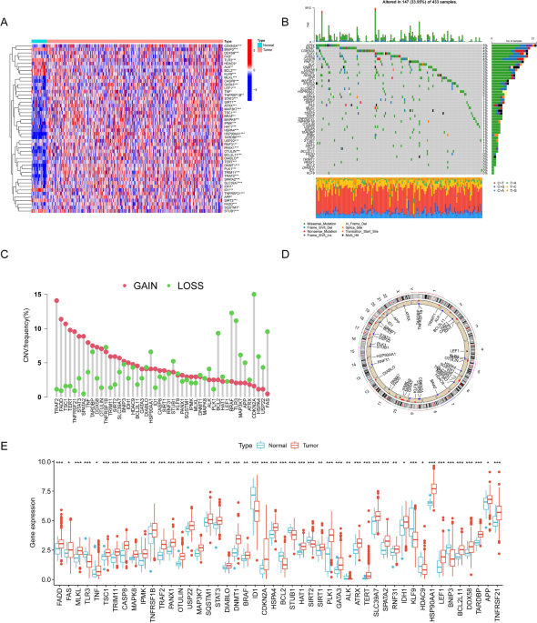 Construction of a novel signature and prediction of the immune landscape in gastric cancer based on necroptosis-related genes