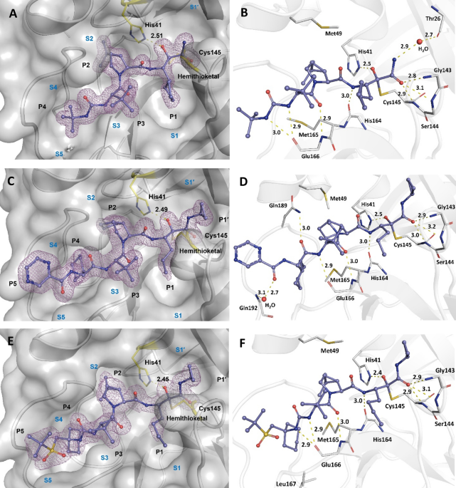 Hcv ns3