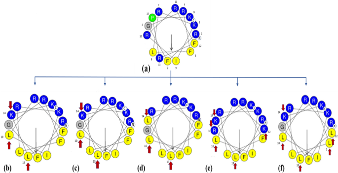 Design, characterization and structure–function analysis of novel ... - Nature.com