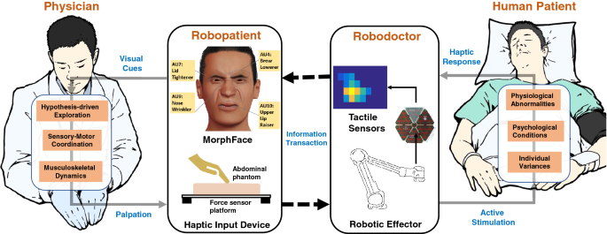 Face mediated human–robot interaction for remote medical examination |  Scientific Reports