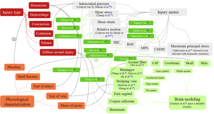 Assessment of brain injury characterization and influence of modeling approaches | Scientific Reports - Nature.com