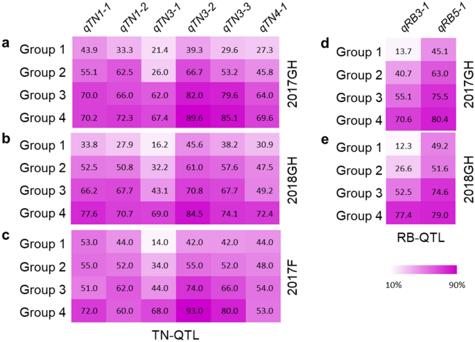 Identification of quantitative trait loci for tillering, root, and
