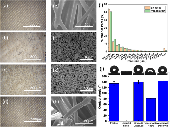 Wearable adjunct ozone and antibiotic therapy system for treatment of  Gram-negative dermal bacterial infection