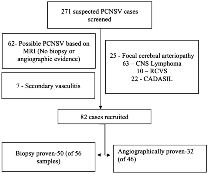 Primary CNS vasculitis (PCNSV): a cohort study | Scientific Reports