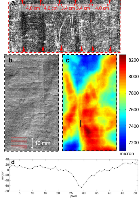 Non-invasive contactless analysis of an early drawing by Raffaello Sanzio by means of optical methods | Scientific Reports