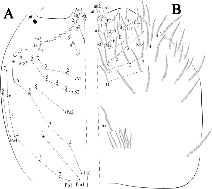 Hotspot in ferruginous rock may have serious implications in