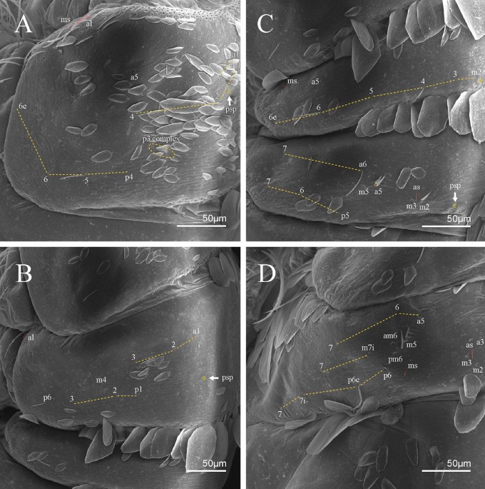 Hotspot in ferruginous rock may have serious implications in Brazilian  conservation policy