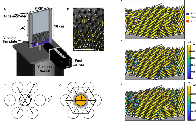 Geometry-controlled phase transition in vibrated granular media | Scientific Reports Geometry-controlled phase transition in vibrated granular media | Scientific Reports