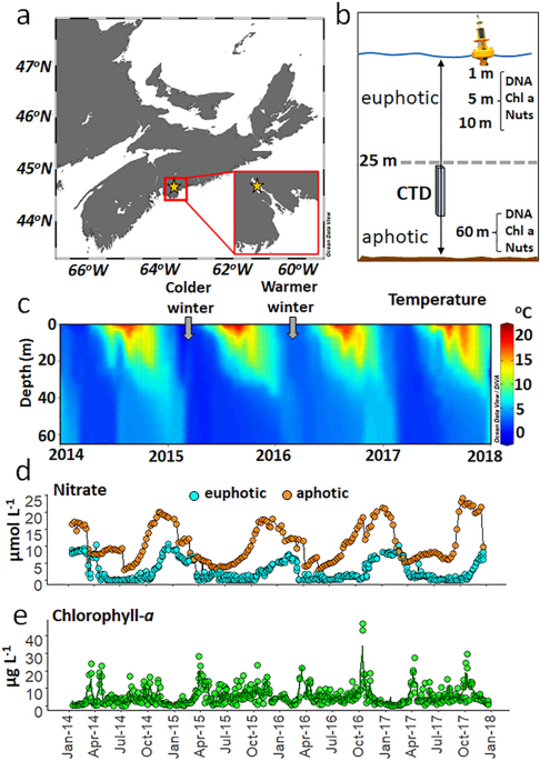 Seasonal bacterial niche structures and chemolithoautotrophic ecotypes in a North Atlantic fjord | Scientific Reports - Nature.com