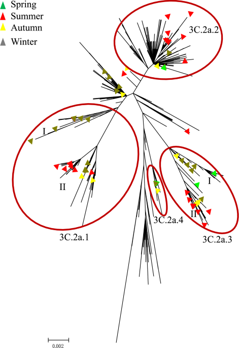 Increased genetic variation of a(h3n2) virus from influenza surveillance at the end of the 2016/2017 season for shanghai port, china
