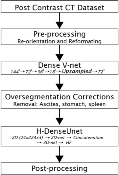 A pipeline for automated deep learning liver segmentation (PADLLS) from contrast enhanced CT exams | Scientific Reports - Nature.com