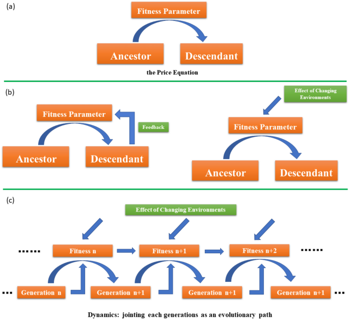 Path probability selection in nature and path integral | Scientific Reports