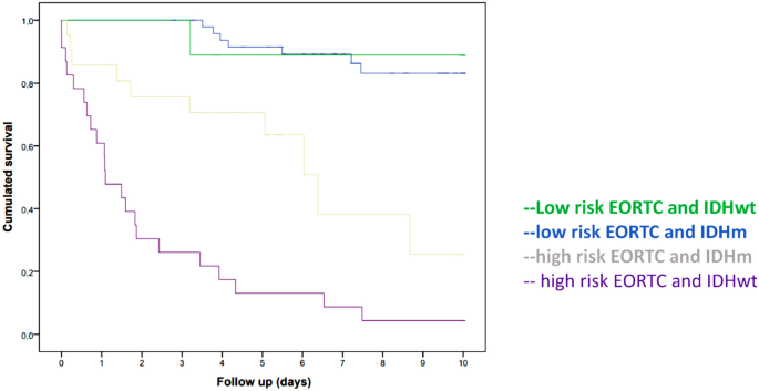 An analysis of prognostic factors in a cohort of low-grade gliomas and degree of consistency between RTOG and EORTC scores