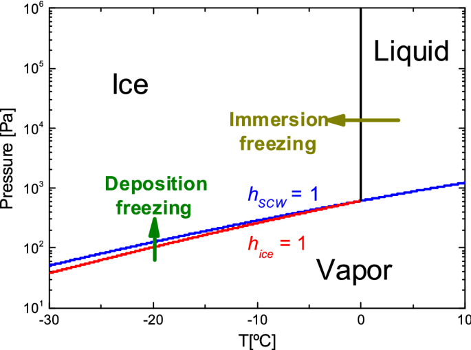 Electron microscopy and calorimetry of proteins in supercooled