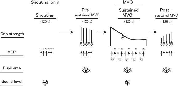 Shouting strengthens voluntary force during sustained maximal effort through enhancement of motor system state via motor commands