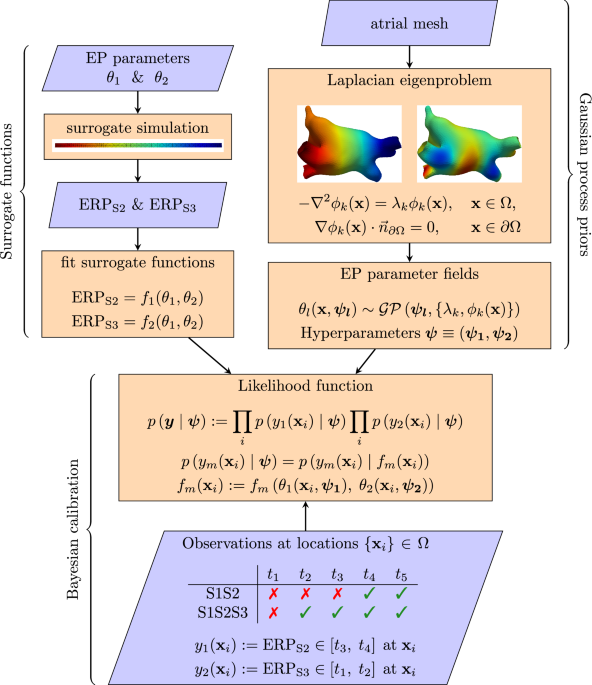 Calibrating cardiac electrophysiology models using latent Gaussian processes on atrial manifolds | Scientific Reports