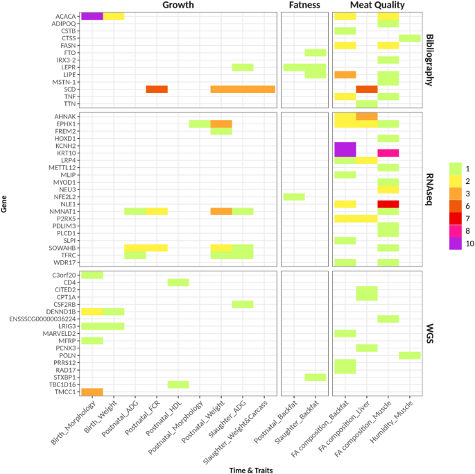 Frontiers  Classification of breed combinations for slaughter pigs based  on genotypes—modeling DNA samples of crossbreeds as fuzzy sets from  purebred founders