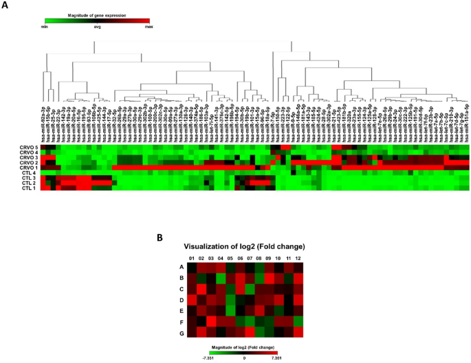 Differential expression of aqueous humor microRNAs in central retinal vein  occlusion and its association with matrix metalloproteinases: a pilot study  | Scientific Reports