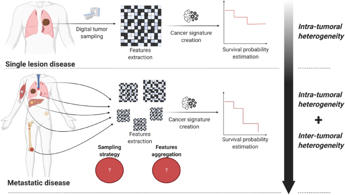Investigation of radiomics based intra-patient inter-tumor heterogeneity and the impact of tumor subsampling strategies | Scientific Reports