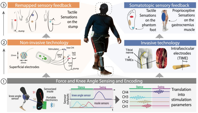 Blindfolded People Can Still See Their Own Limbs