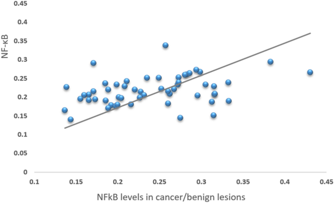 Nf-kappa b expression in resected specimen of colonic cancer is higher compared to its expression in inflammatory bowel diseases and polyps