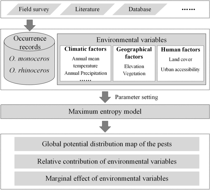 Determining the potential distribution of Oryctes monoceros and Oryctes rhinoceros by combining machine-learning with high-dimensional multidisciplinary environmental variables | Scientific Reports