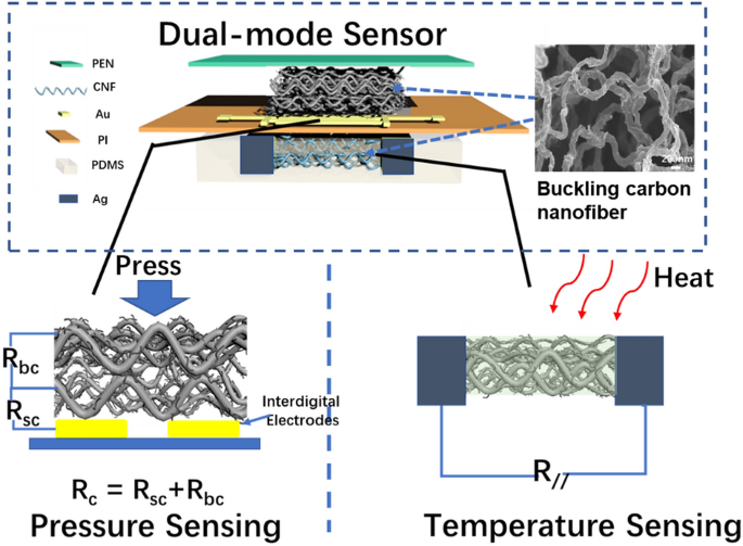 Flexible pressure and temperature dual-mode sensor based on buckling carbon nanofibers for respiration pattern recognition | Scientific Reports