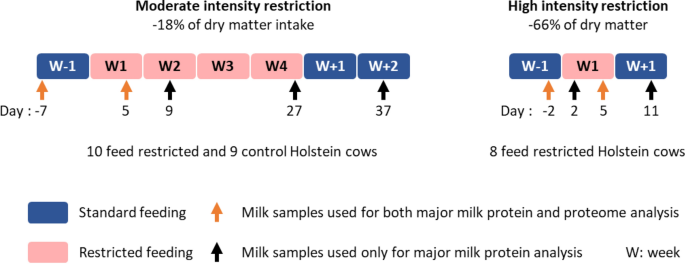 Milk proteins as a feed restriction signature indicating the metabolic  adaptation of dairy cows | Scientific Reports